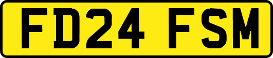 FD24FSM