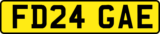 FD24GAE