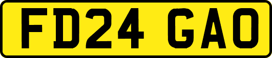FD24GAO