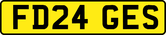 FD24GES