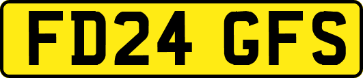 FD24GFS