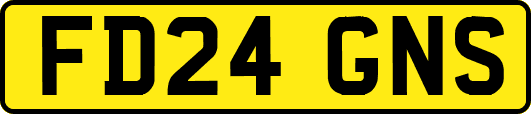 FD24GNS