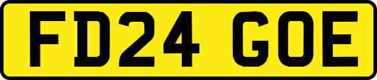 FD24GOE