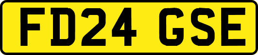 FD24GSE