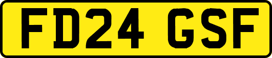 FD24GSF