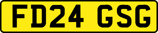 FD24GSG