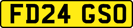 FD24GSO