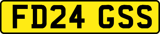FD24GSS