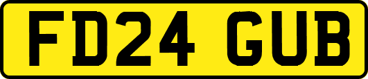 FD24GUB