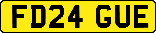 FD24GUE