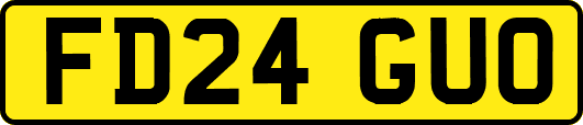 FD24GUO