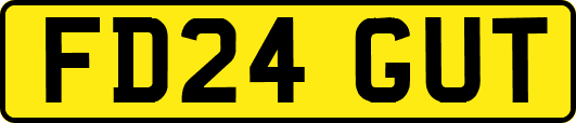FD24GUT