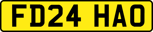 FD24HAO