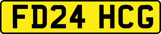 FD24HCG