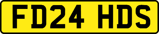 FD24HDS