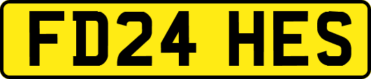 FD24HES