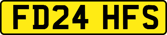 FD24HFS
