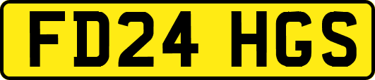FD24HGS
