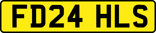 FD24HLS