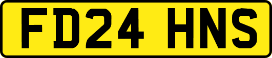 FD24HNS