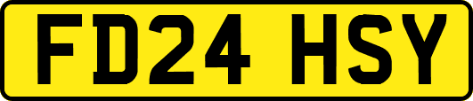 FD24HSY