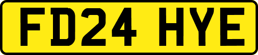 FD24HYE