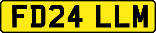 FD24LLM