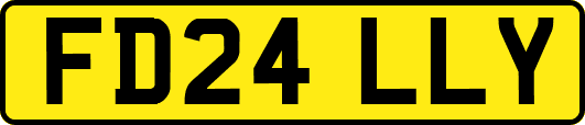 FD24LLY