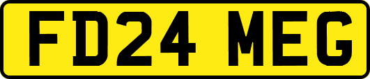 FD24MEG