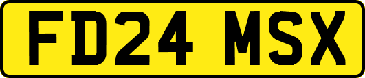 FD24MSX