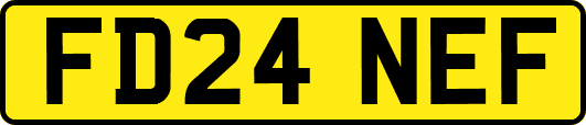 FD24NEF