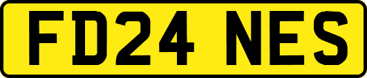 FD24NES