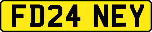 FD24NEY