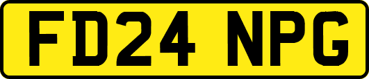 FD24NPG