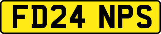 FD24NPS