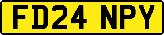 FD24NPY