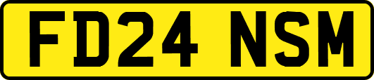 FD24NSM
