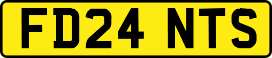 FD24NTS
