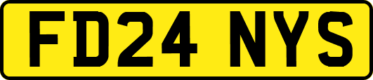 FD24NYS
