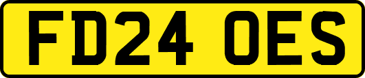 FD24OES