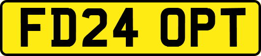 FD24OPT