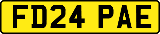 FD24PAE