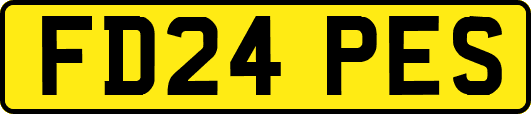 FD24PES