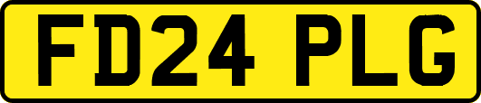 FD24PLG