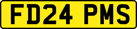 FD24PMS