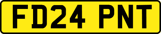 FD24PNT