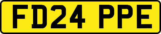 FD24PPE