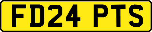 FD24PTS