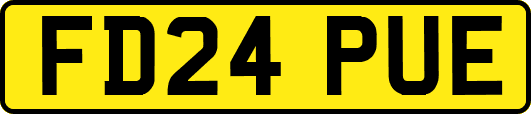 FD24PUE