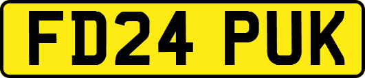 FD24PUK